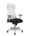 SILLON PIQUERAS SAHUCO DIREC. B.NEGRO