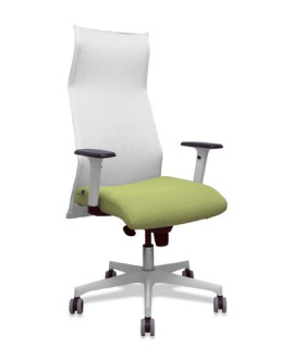 SILLON PIQUERAS SAHUCO DIREC. B.VERDE OL