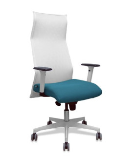 SILLON PIQUERAS SAHUCO DIREC. B.VD PETRO