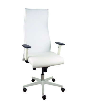 SILLON PIQUERAS SAHUCO DIREC. S.BLANCO