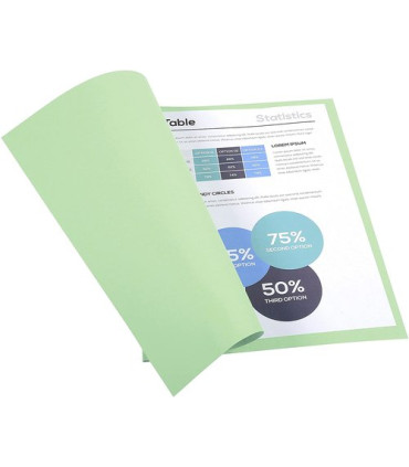 SUBCARP. EXAC. FOREVER 220g A4 VERDE P/1