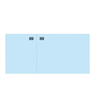 TALONARIOS VALES DE CAJA APLI 1-100