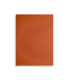 T.ENC.FABRIANO 23x32  CARTUL.NARJ.INT. P