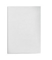 T.ENC.FW.A4 250g DELTA CUERO BLANCO C/25