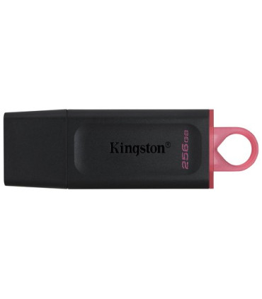 MEMORIA USB 256GB KINGSTON DTX/256GB