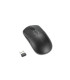RATON KENSINGTON MY430 EQ NEGRO