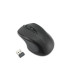 RATON KENSINGTON MY310 EQ NEGRO