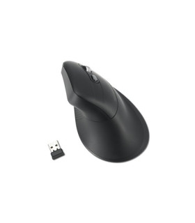 RATON KENSINGTON MY630 EQ NEGRO