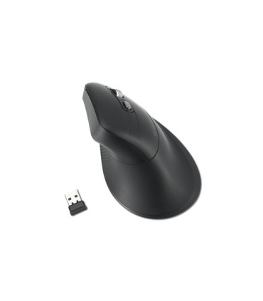 RATON KENSINGTON MY630 EQ NEGRO
