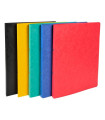 CARPETA EXACOMPTA A4 2 AN.15 SURT.