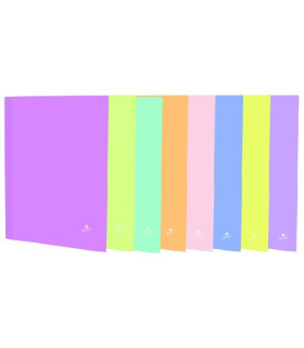 CARPETA MARIOL.PASTEL Fº 4 AN.40 EXP.12